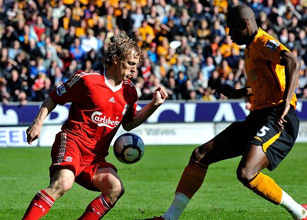 仅展现了马 仅展现了马